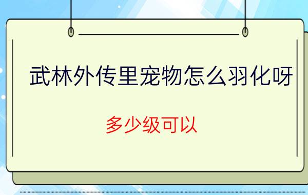 武林外传里宠物怎么羽化呀（多少级可以 需要什么条件）